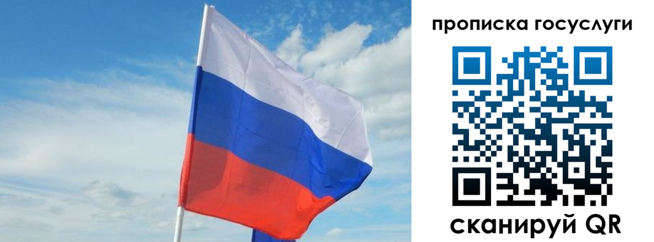 прописка гарантия в Гусь-Хрустальном